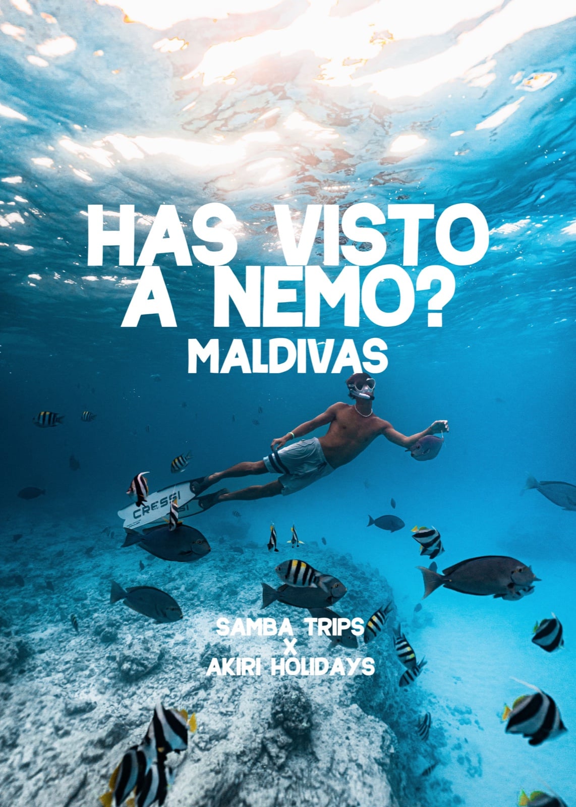 ¿Has visto a Nemo? — Maldivas